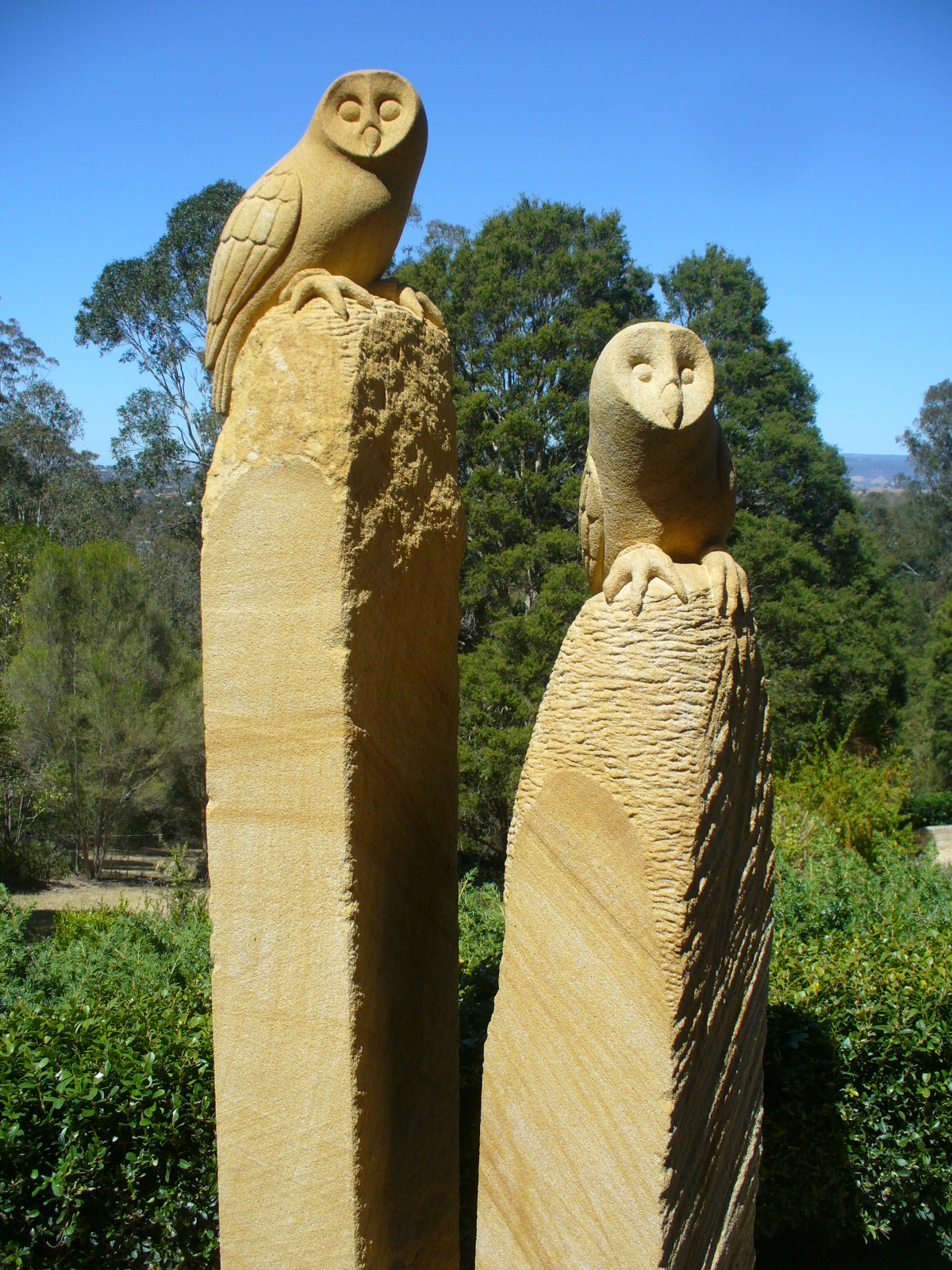 Owl 5